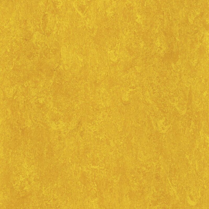 DLW Flooring 0172 Papaya Orange