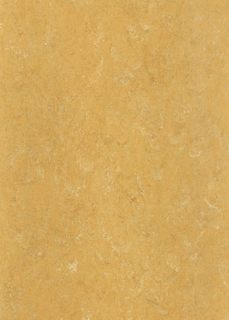 DLW Flooring 0173 Melon Orange - Image 2