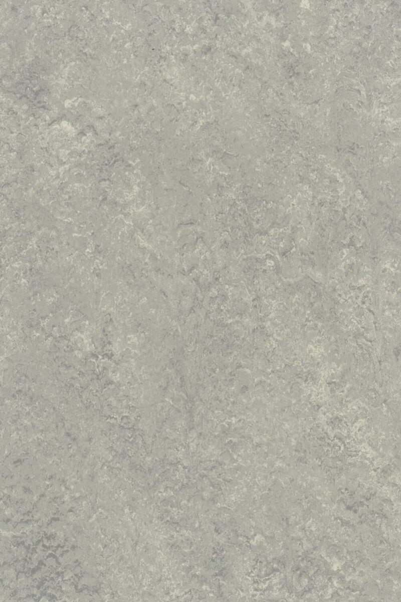 DLW Flooring 0254 Mineral Grey