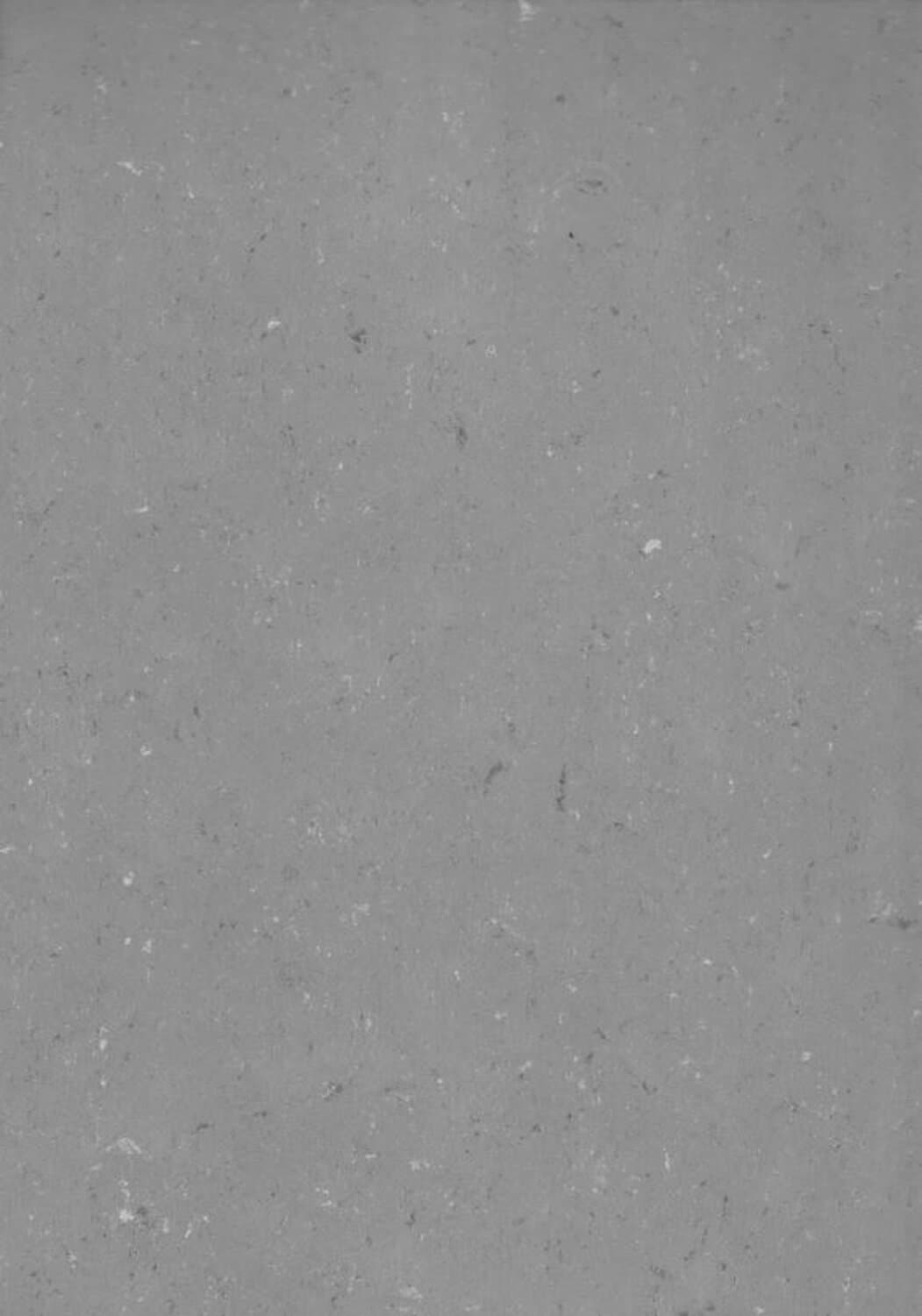 DLW Flooring 0559 Vintage Grey