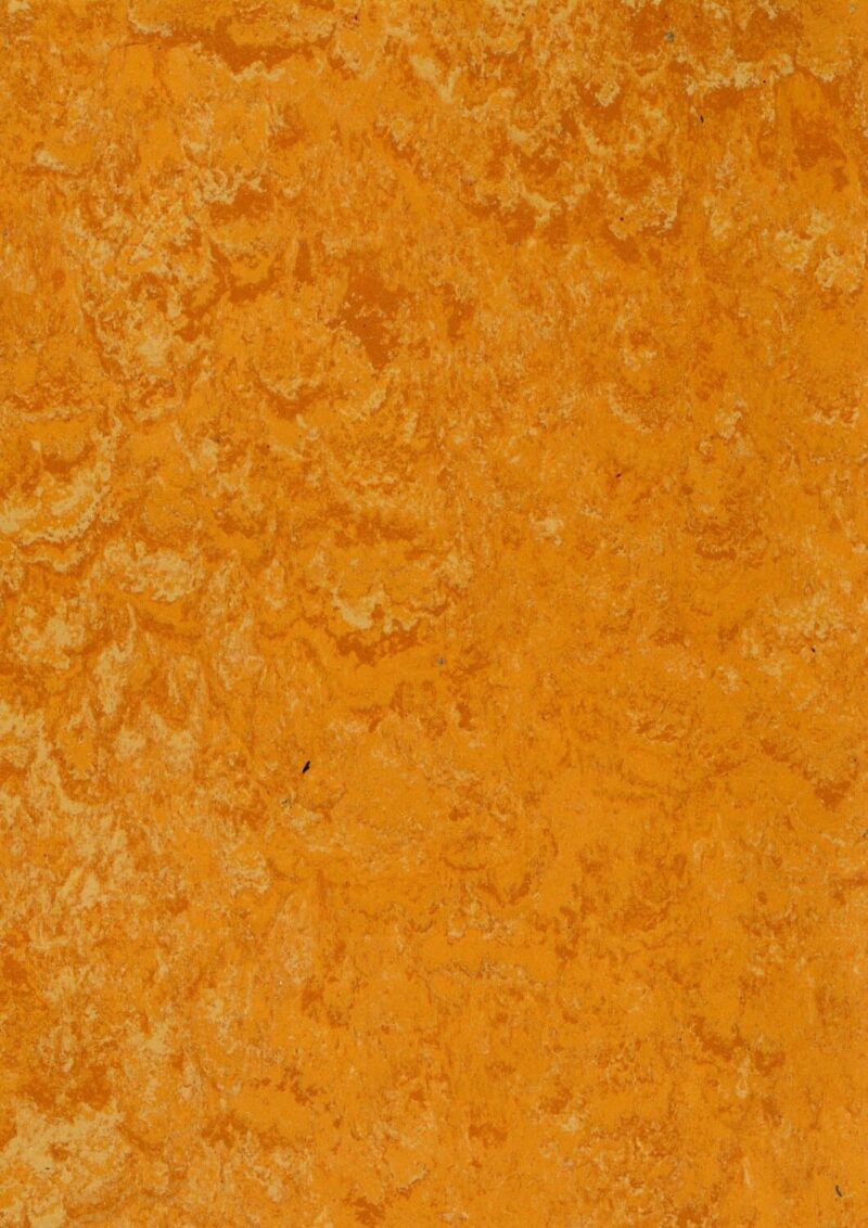 DLW Flooring 1072 Peach Orange