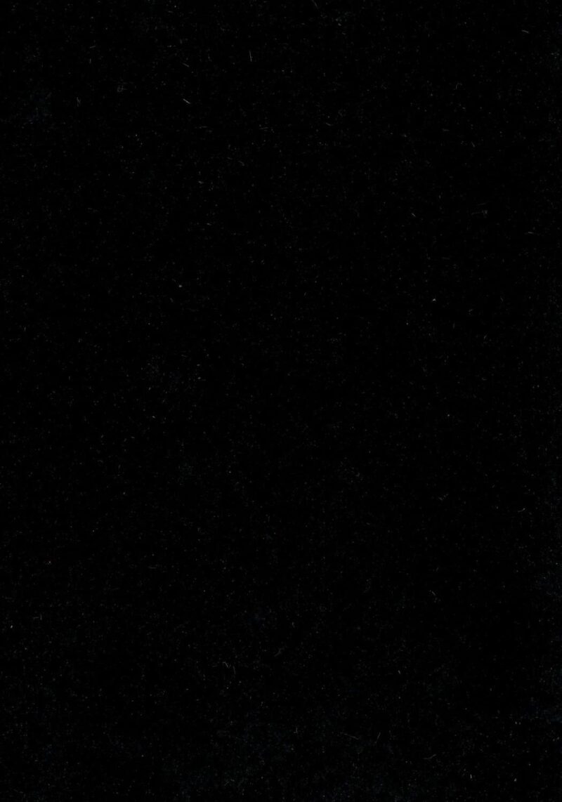 DLW Flooring 1081 Sporty Black