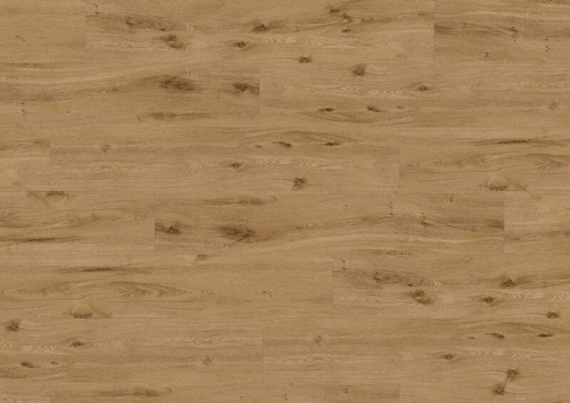 Ter Hürne C05 Oak York plank - Image 3