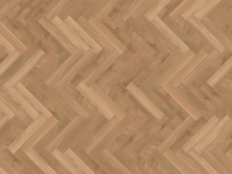 mFlor Parva Broad Leaf Pure Sycamore 40822 - Image 3