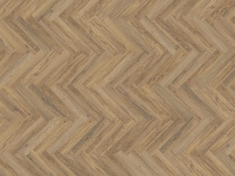 mFlor Parva Oak Apulia 41215 - Image 3