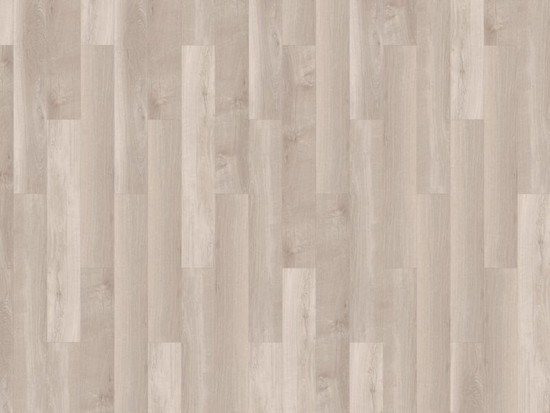 mFlor Broad Leaf Light Sycamore 41810 - Image 3