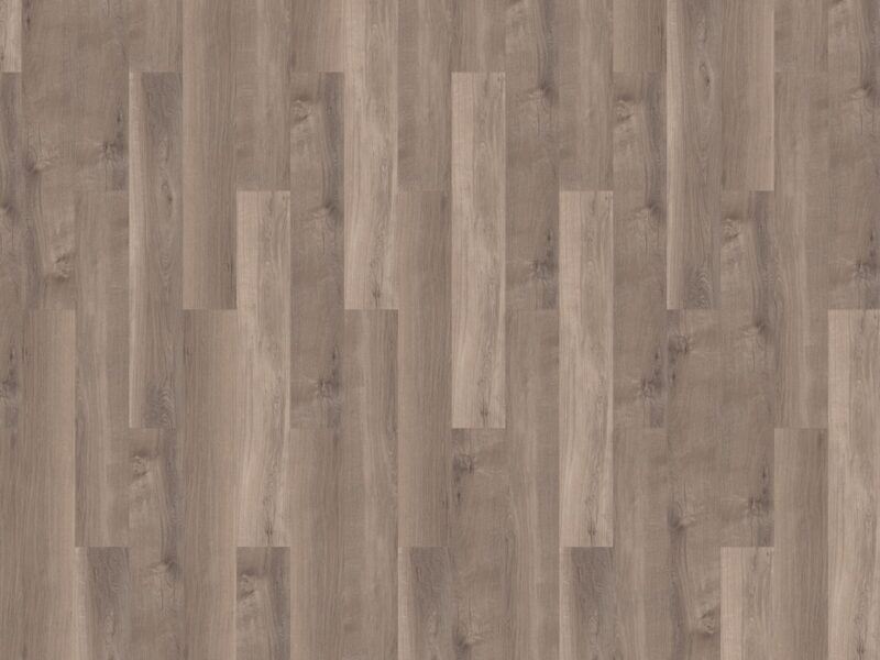 mFlor Broad Leaf Smoky Sycamore 41817 - Image 3