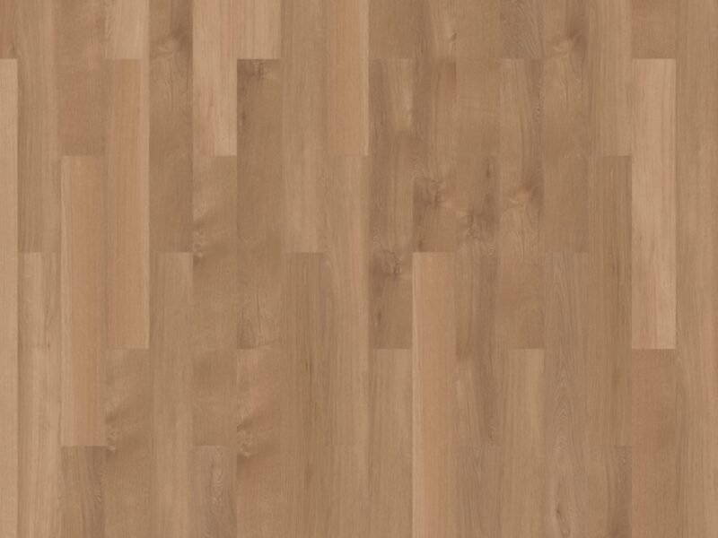 mFlor Broad Leaf Pure Sycamore 41822 - Image 3