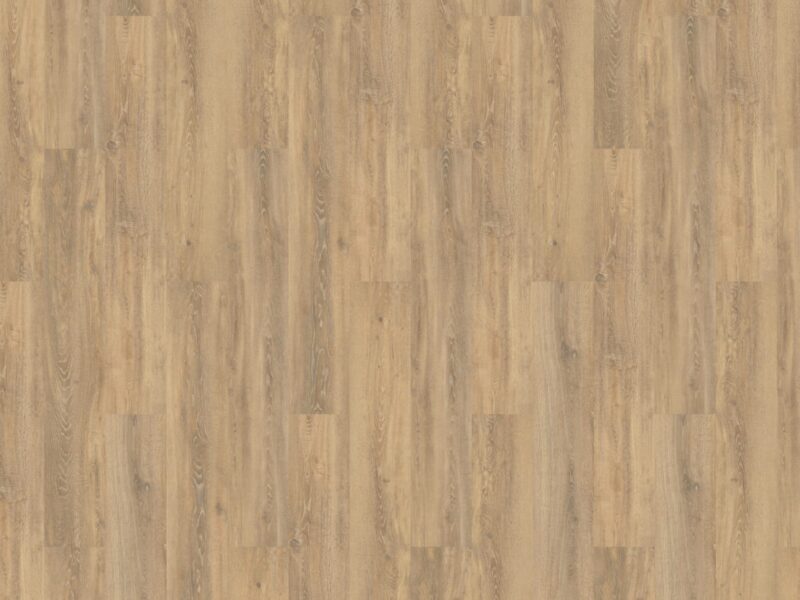 mFlor Authentic Oak XL Piedmont 56314 - Image 3