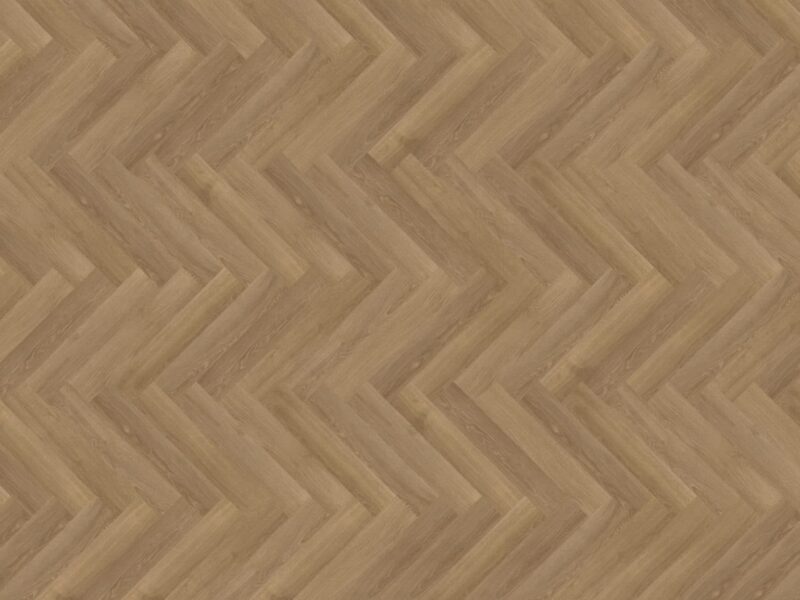 mFlor Parva River Oak Danube 41322 - Image 3