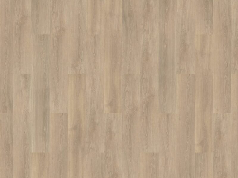 mFlor River Oak XL Po 73014 - Image 2