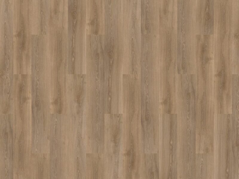 mFlor River Oak XL Volga 73024 - Image 3