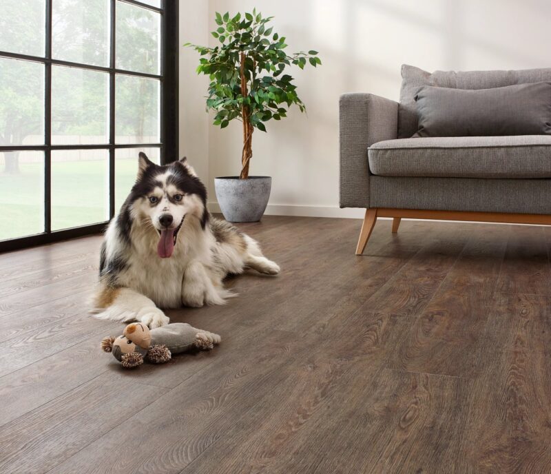 Coretec floors Jasper oak 01
