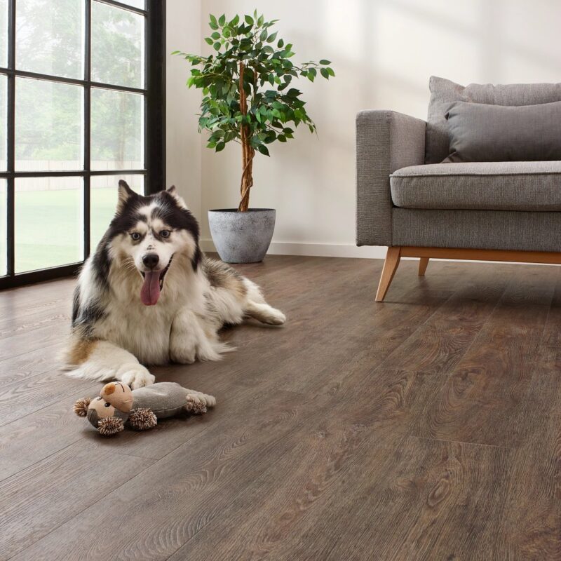 Coretec floors Jasper oak 01