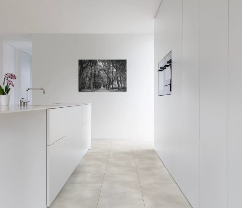 Coretec floors Thabor