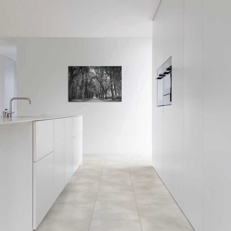 Coretec floors Thabor